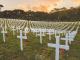 023 ANZAC Avenue Napier Graves of ANZAC Soldiers 
