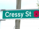 160 Cressy Street Lower Hutt new street sign 2018
