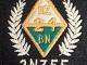 174 Maich Road Manurewa 21st Bn badge