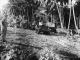 219 Henderson Cres Napier Japanese tank on Guadalcanal