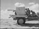 246 Wilde Avenue Richmond NZ anti tank gunners from 7 Anti tank Regiment at El Alamein