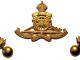 283 Weir Tce LMC Palm Nth NZ Artillery Cap and collar badges