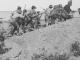294 Krithia Cres TMC Upper Hutt First battle of Krithia