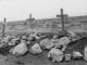 296 Bel Hamed Dr TMC Upper Hutt NZ graves at Belhamed