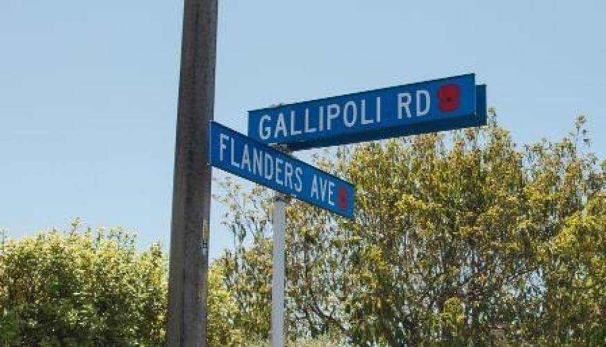 026 Flanders Avenue Napier new street sign 2018