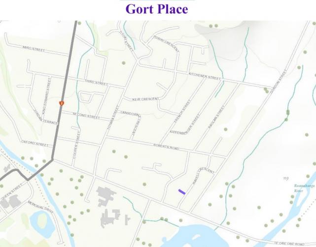 102 Gort Place Masterton Location Map