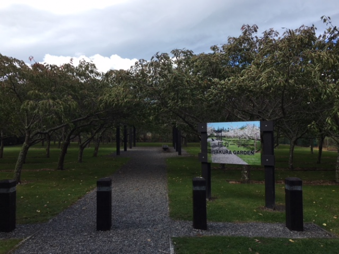 108 Camp Rd Featherston The Cherry Trees planted at the Rest Area