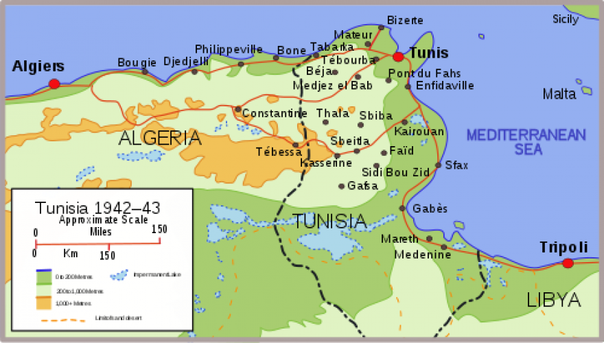 125 Ngarimu Cres Taradale Map of Tunisia1942 1944