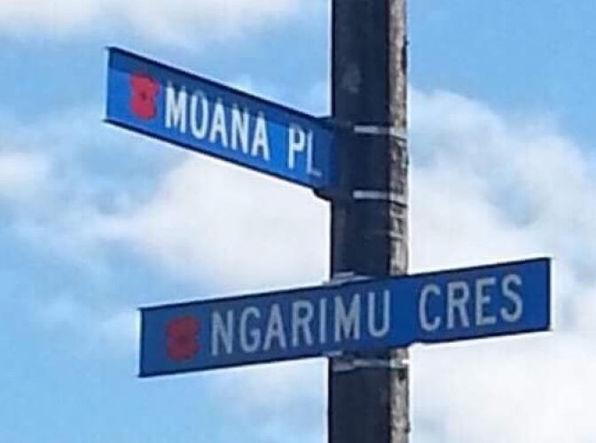 125 Ngarimu Cres Taradale new signs 2018