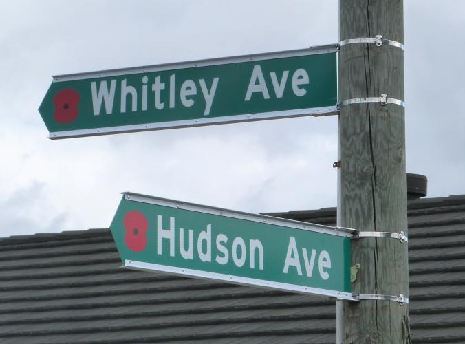 131 Whitley Ave Upper Hutt new street sign with Hudson 2019