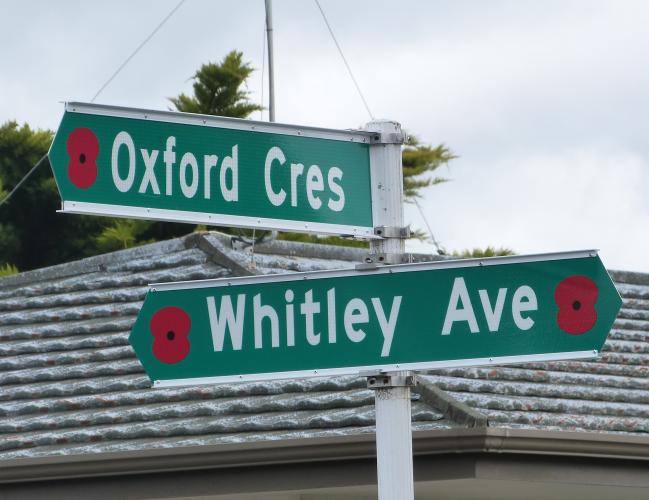 131 Whitley Ave Upper Hutt new street sign with Oxford 2019