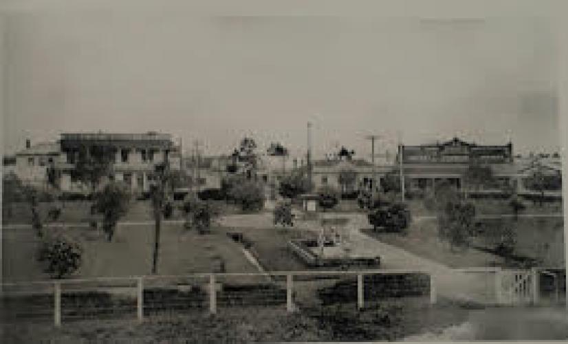 138 Soldiers Memorial Park Martinborough Looking West from the Square 1926