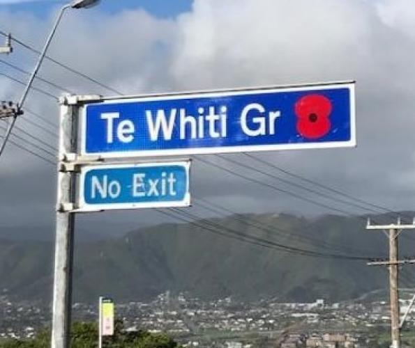 150 Te Whiti Grove Lower Hutt new street sign 2020