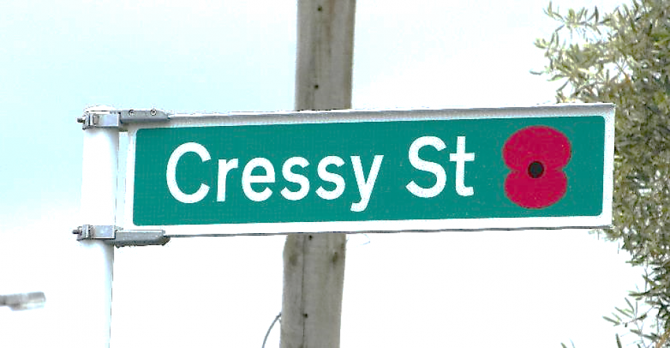 160 Cressy Street Lower Hutt new street sign 2018