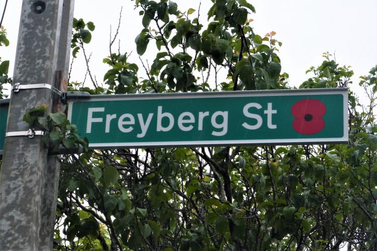 161 Freyberg St Lower Hutt new street sign 2018