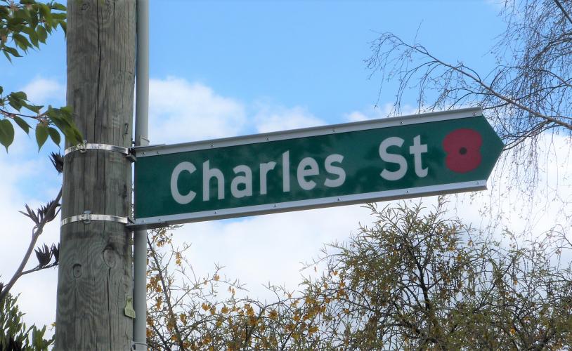 198 Charles Street Upper Hutt new street sign 2019