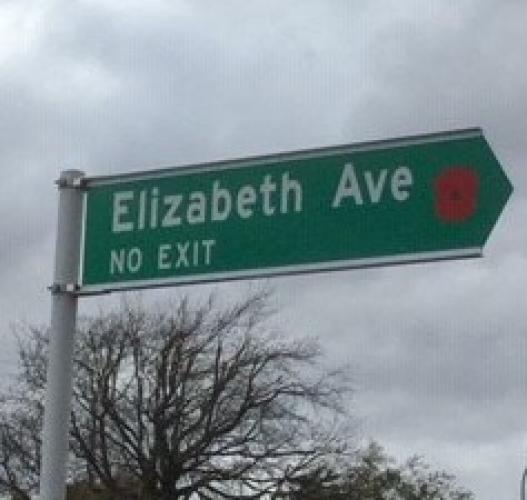 200 Elizabeth Avenue Heretaunga Upper Hutt new street sign 2019