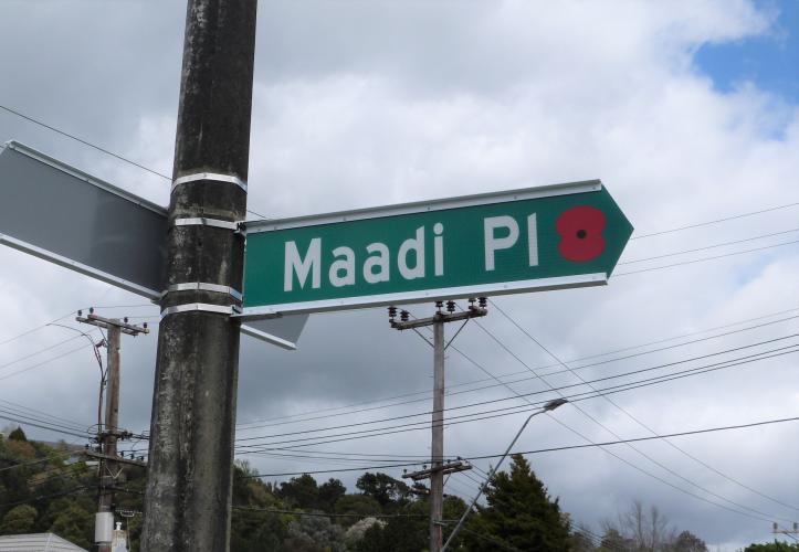 202 Maadi Place Silverstream Upper Hutt new street sign 2019
