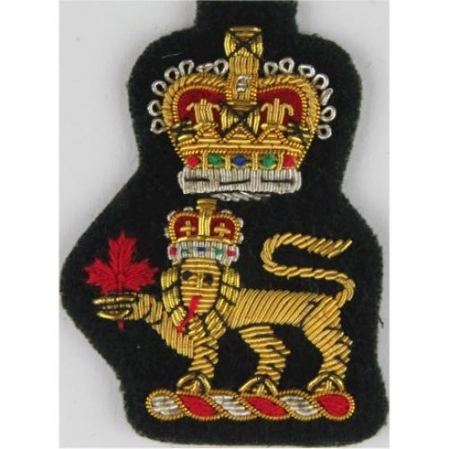 206 Talbot Grove Upper Hutt Brigadiers cap badge