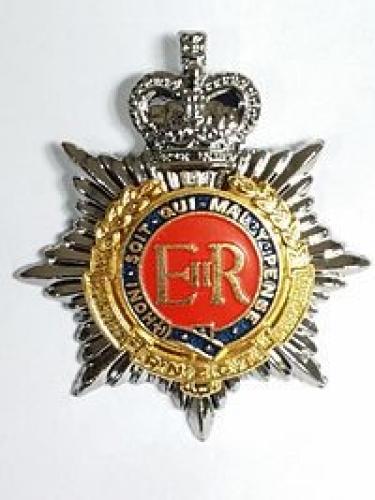 206 Talbot Grove Upper Hutt RNZCT cap badge