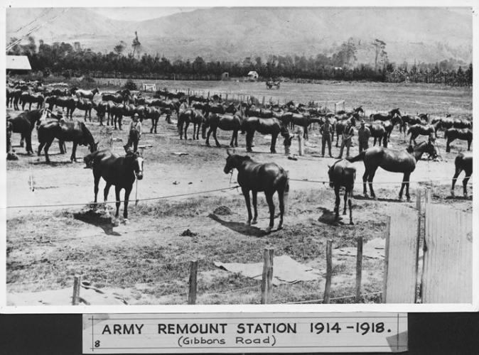 212 Gibbons Street Remount Depot UH Army Remount Station UH
