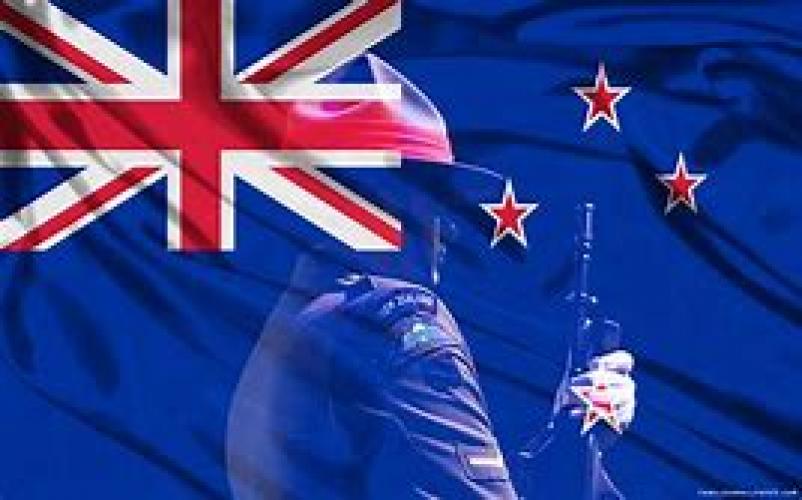 252 Anzac Ave LMC Palm Nth New Zealand Flag image