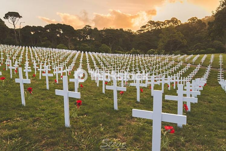 277 Anzac Rd Morningside Whangarei Graves of ANZAC Soldiers