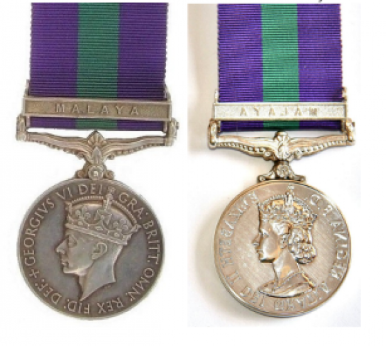 278 Taiping Tce LMC Palm Nth service medals for the Malayan campaign