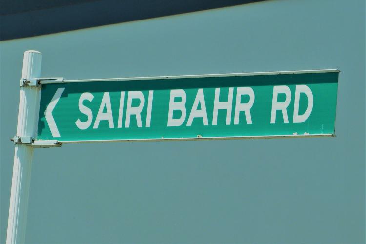 287 Sairi Bahr Rd TMC Upper Hutt road sign 2019