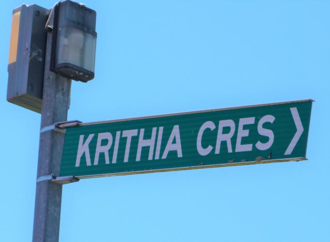 294 Krithia Cres TMC Upper Hutt street sign 2018