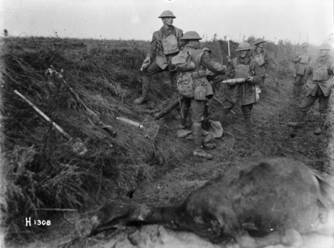 295 Rifle Bde Pde TMC Upper Hutt NZRB mortar near Le Quesnoy 1918