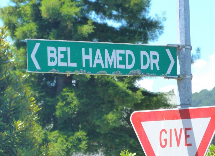 296 Bel Hamed Dr TMC Upper Hutt street sign 2019