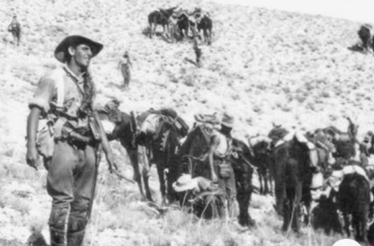 NZ Mounted Rifles Palestine 1 Nov 1917